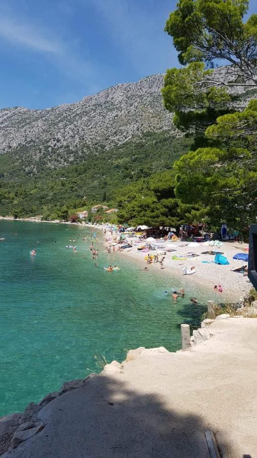 Apartmants Villa Lungo Mare Živogošće المظهر الخارجي الصورة